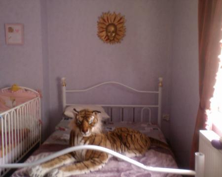 mon pieu lol